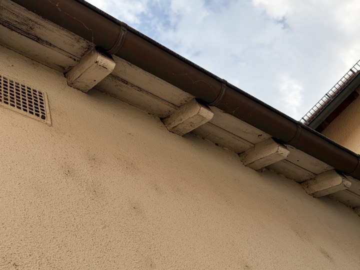 Traufdetail: sichtbare Sparrenköpfe und Dachrinne